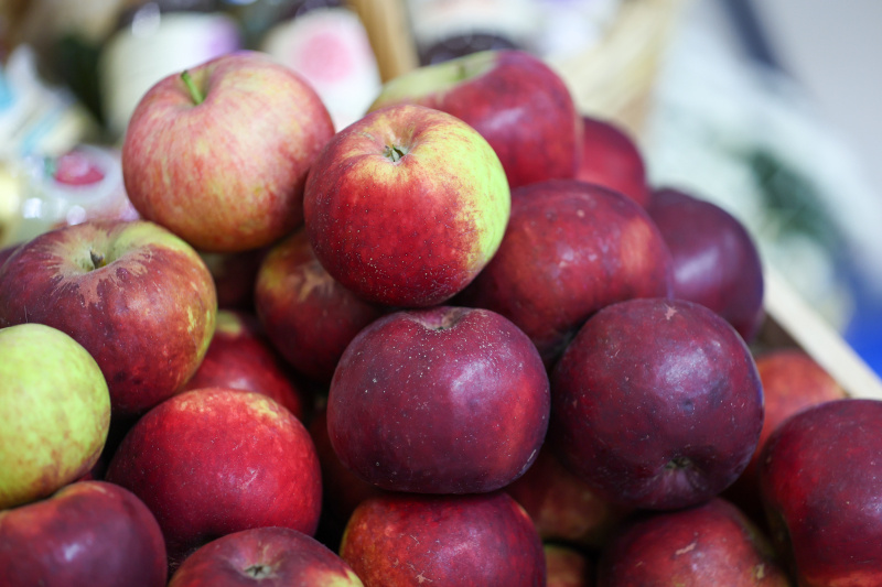 Фото: © Belkin Alexey/news.ru/Globallookpress