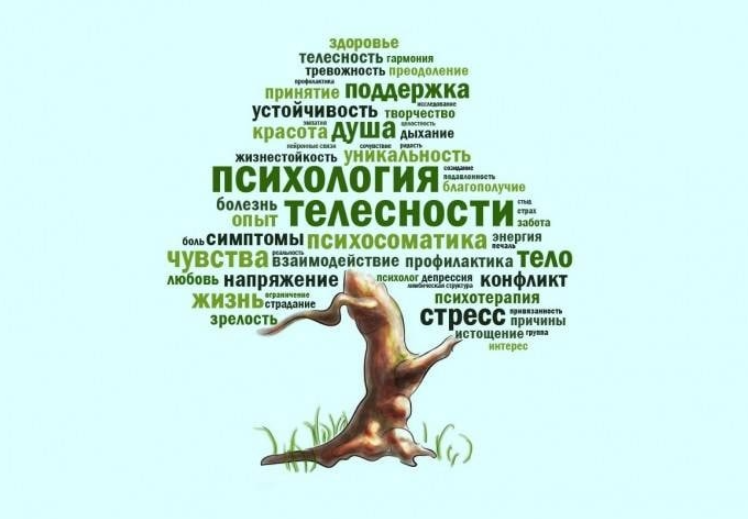 Яндекс картинки