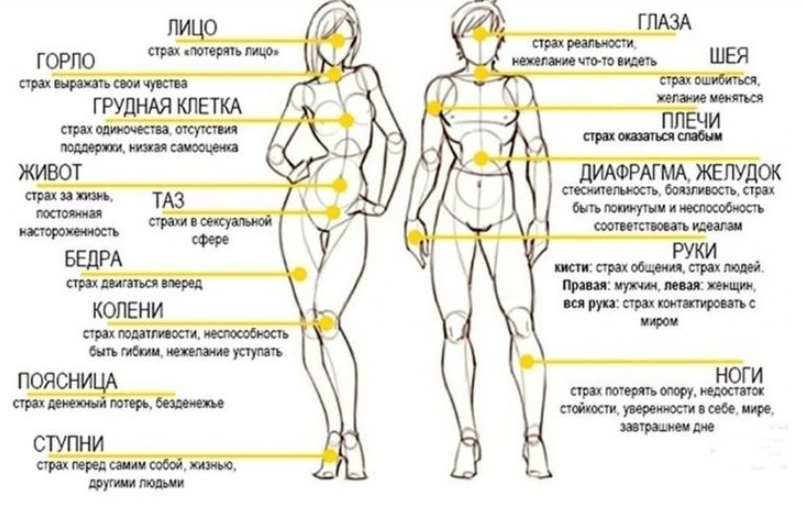 Яндекс картинки