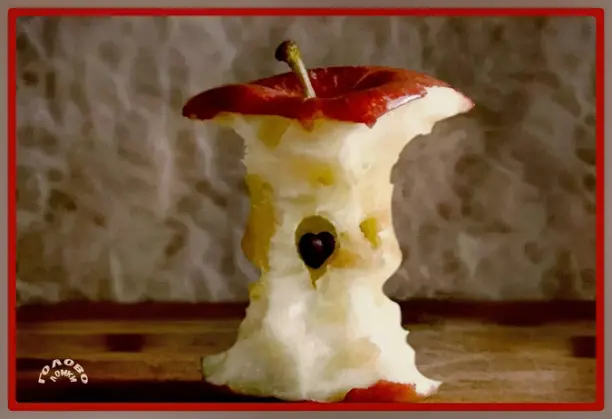 👁️‍🗨️ ВИЗУАЛЬНЫЙ ТРЮК: сможешь разглядеть скрытое?