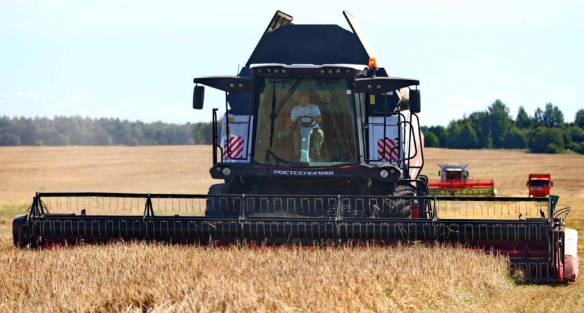    Вологодские аграрии выполнили план по заготовке зерна и картофеля