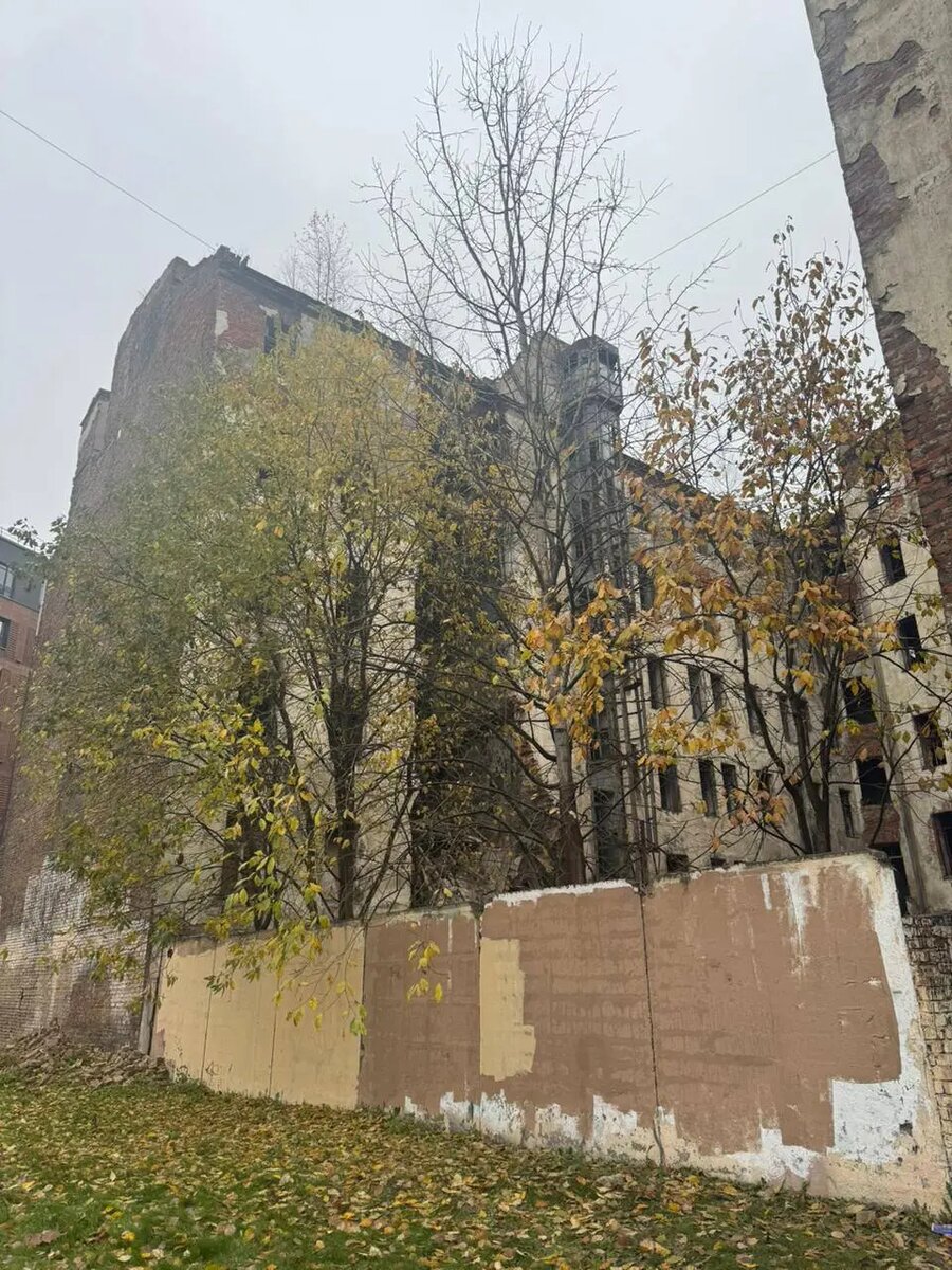    Фото: прокуратура Петербурга