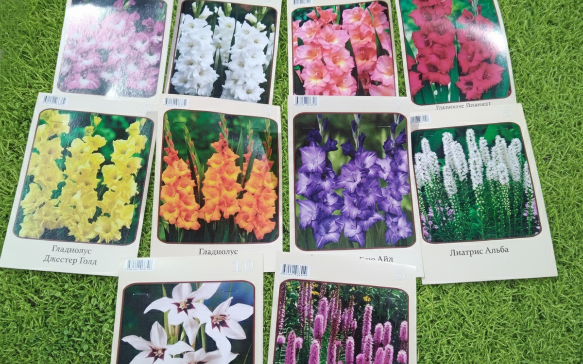 Это лишь малая часть весеннего ассортимента луковичных в магазине