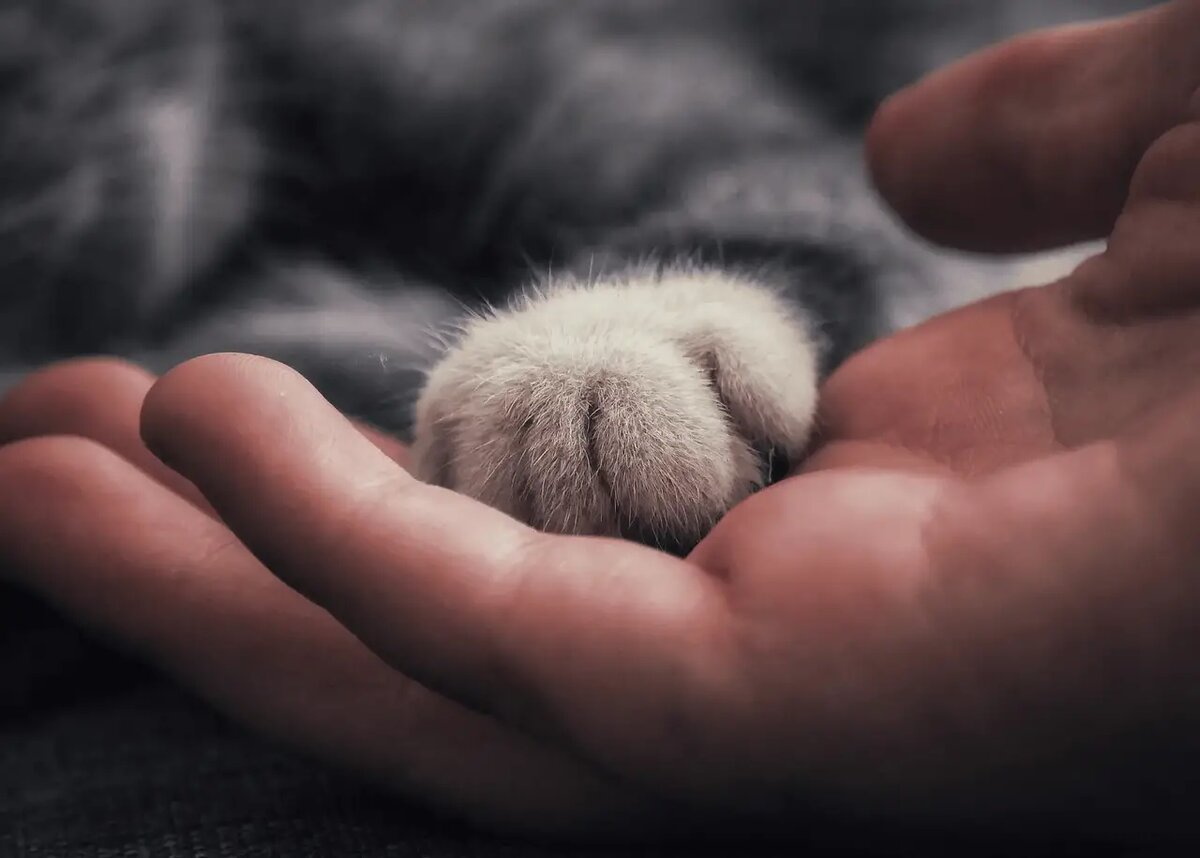    Эта связь проявляется в мелочах, которые мы часто не замечаем /unsplash