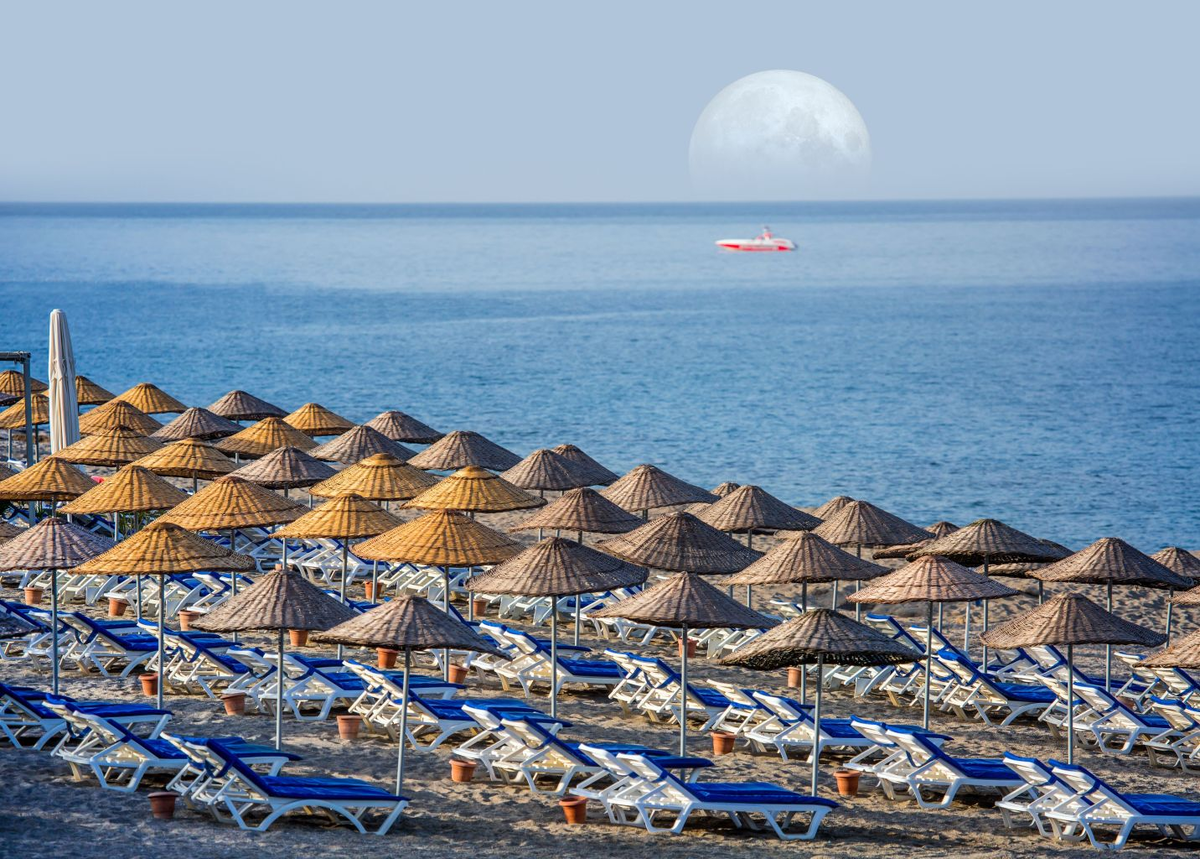 Фото: shutterstock