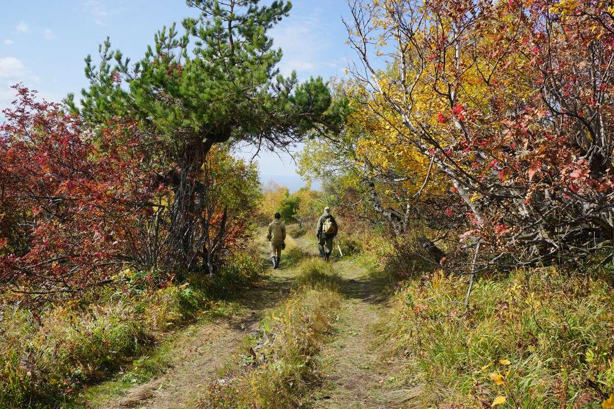   Дорога к Масим-тау stalker