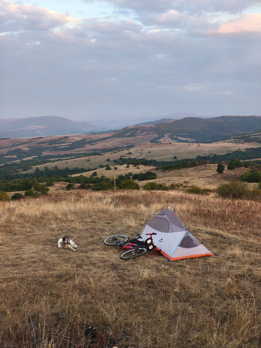 Охрана на месте