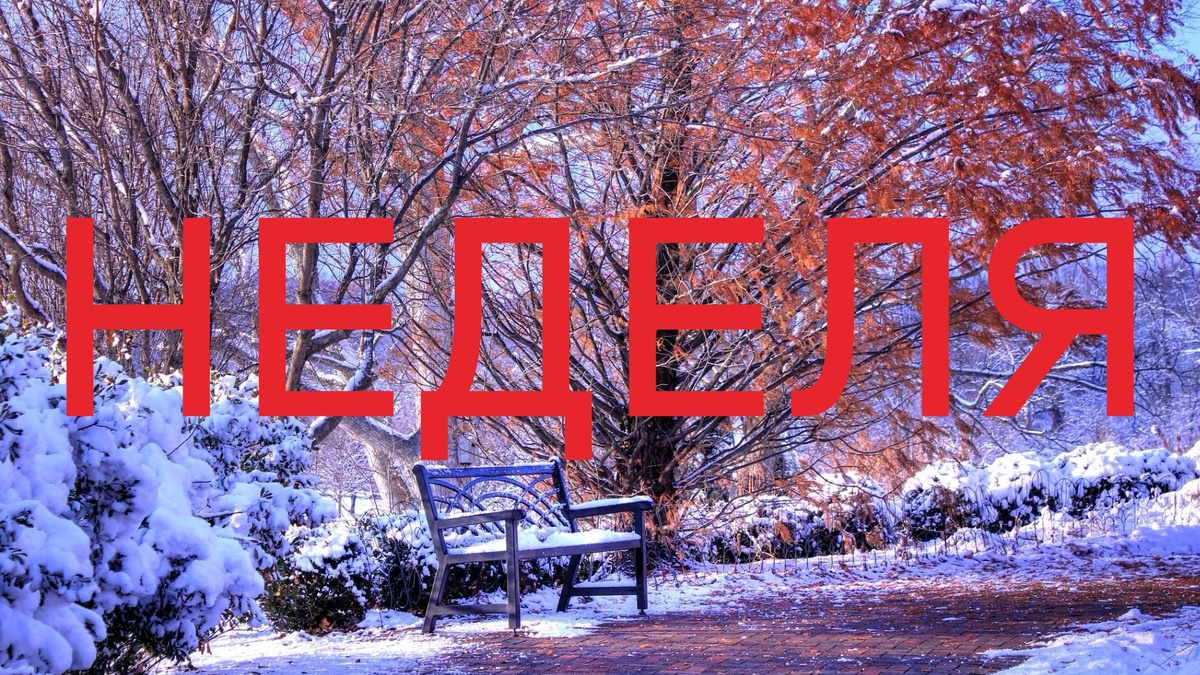 Ноябрь. Фото culture.ru