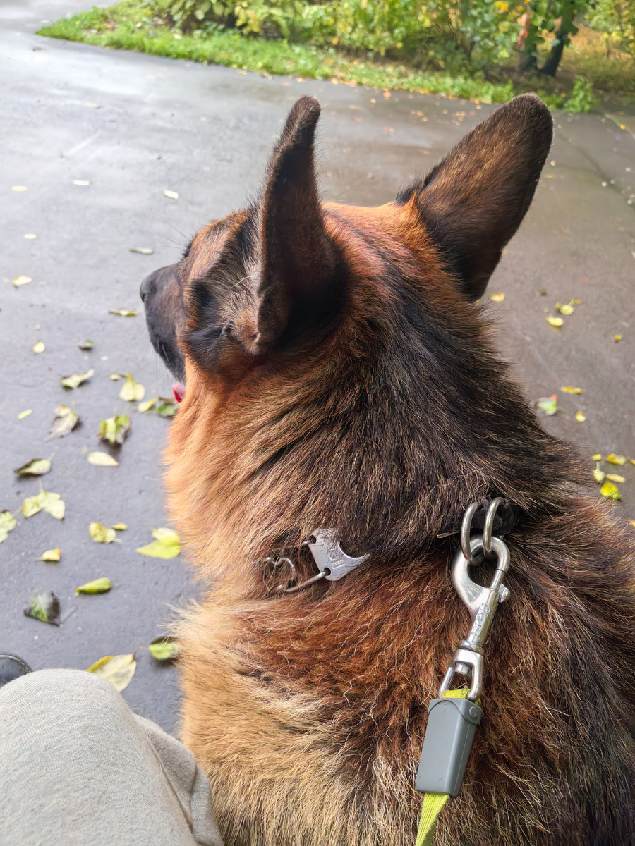 На прогулке