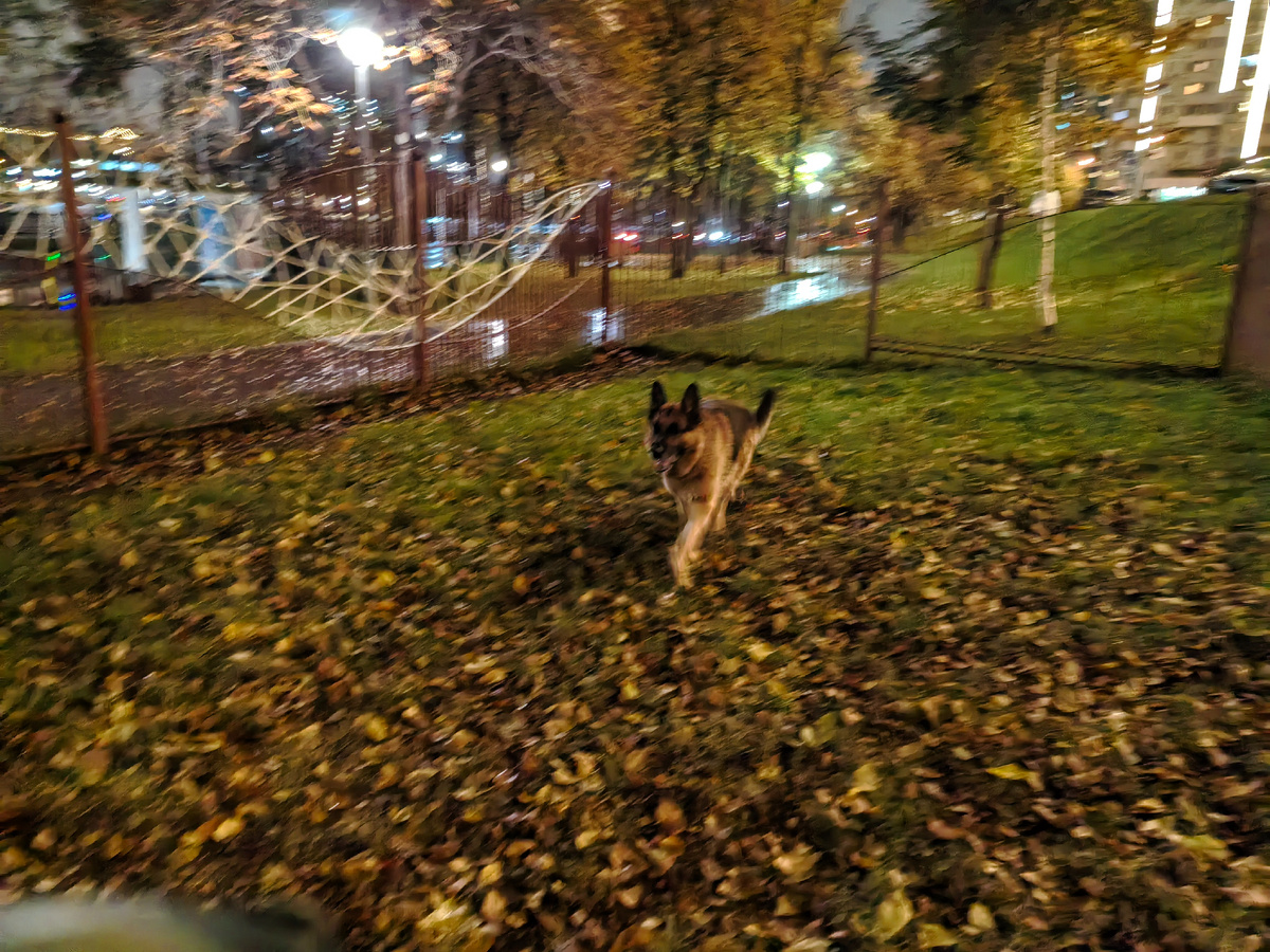 На площадке