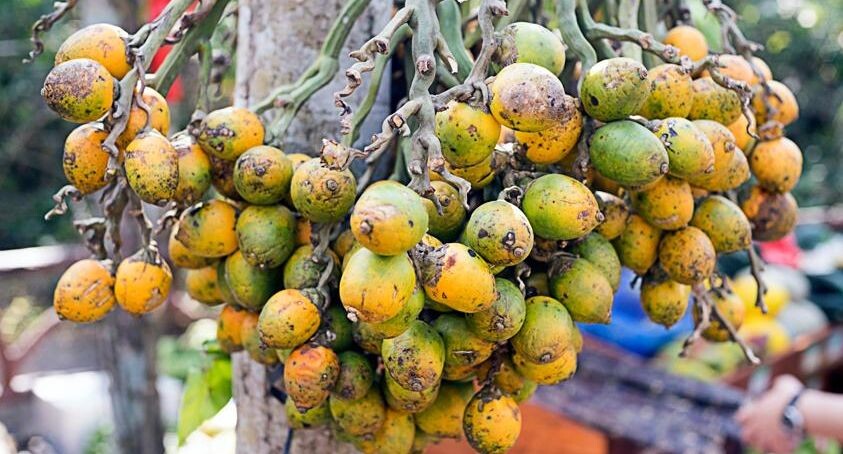    Алексей Маринченко / Фотобанк Лори