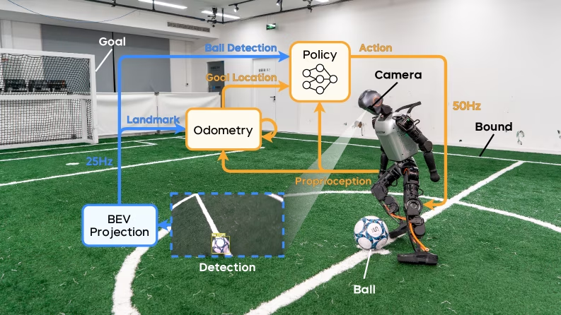Обзор системы. Робот в реальном мире оснащен бортовой камерой для визуального восприятия. Обнаруженные на изображениях объекты проецируются в топографическое пространство. Обнаружения мяча передаются непосредственно политике, в то время как ориентиры поля обрабатываются модулем одометра для определения местоположения цели на основе долгосрочной информации. Пайплайн восприятия предназначен для эффективного извлечения и представления визуальных характеристик для политики обучения с подкреплением.