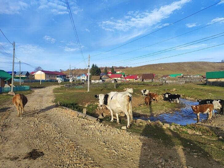    Фото: Пруфы