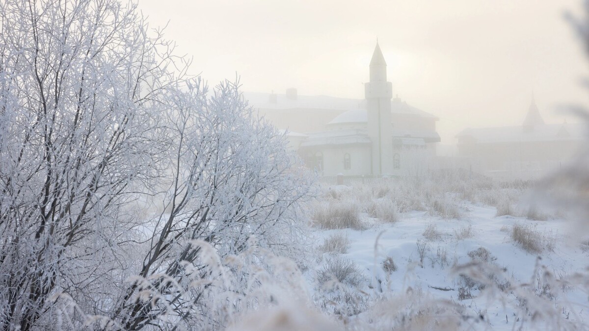    Фото: Фёдор Воронов / «Ямал-Медиа»