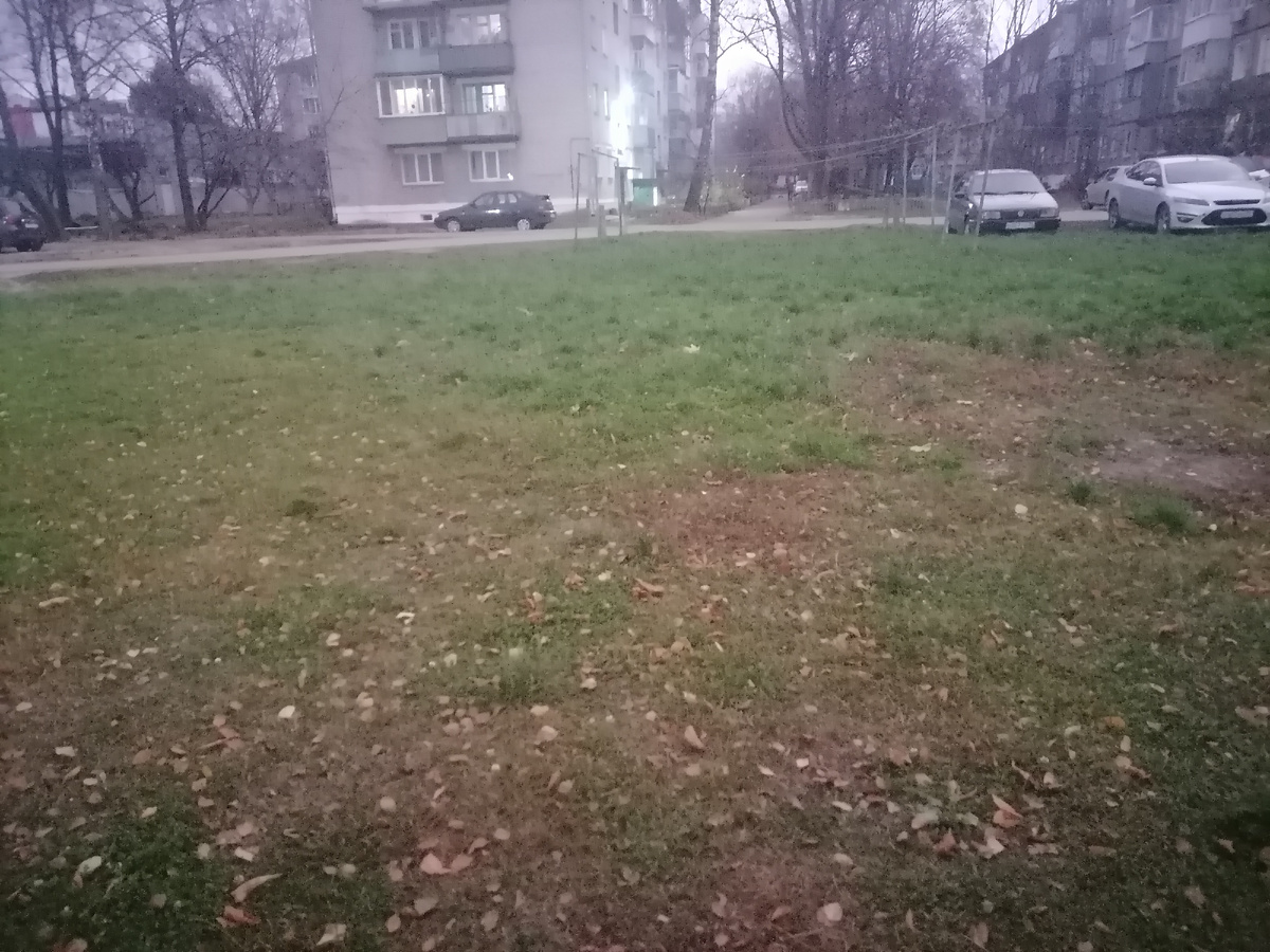 Деревья голые, а трава зелёная