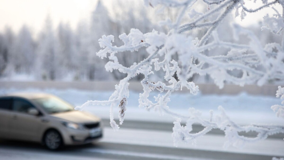    Фото: Федор Воронов / «Ямал-Медиа»