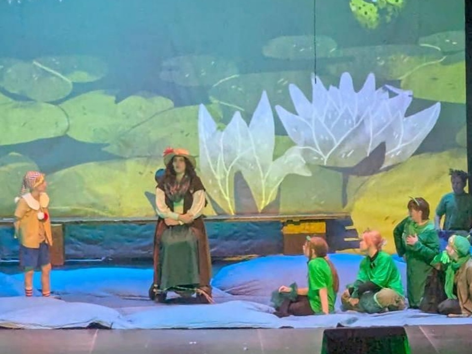    Фото: ДК «Исток» городского округа Фрязино