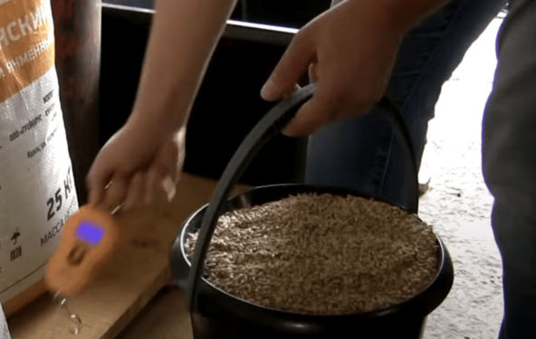 Солод – это намоченные и немного пророщенные зерна ячменя.