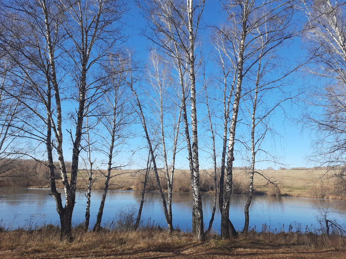 Река Макаров