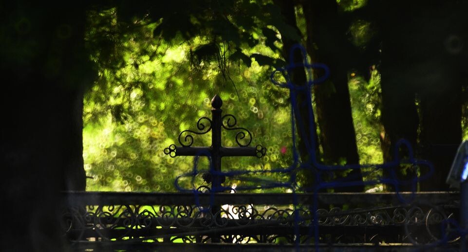    Медиасток.рф