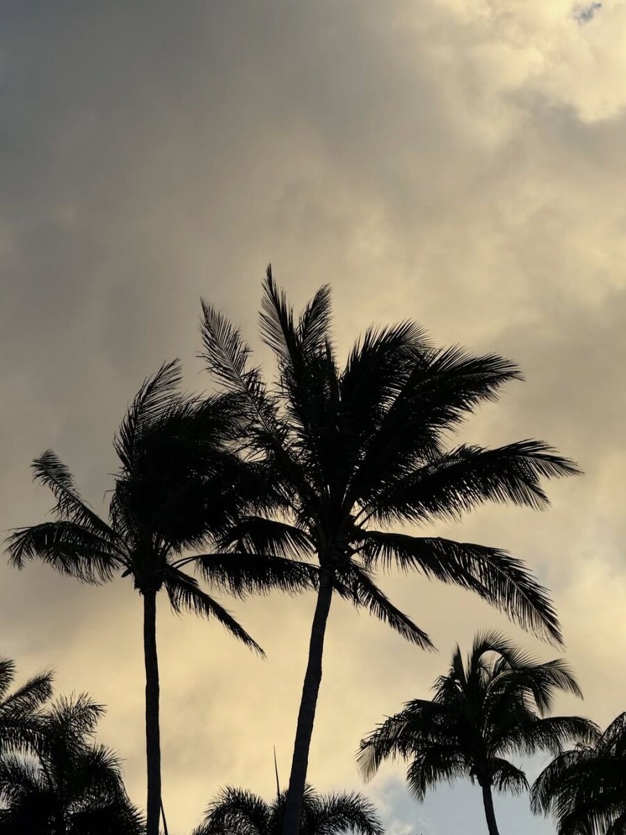    Мария Юмашева c бойфрендом Глебом Березовским. Источник: @yumashkaa*