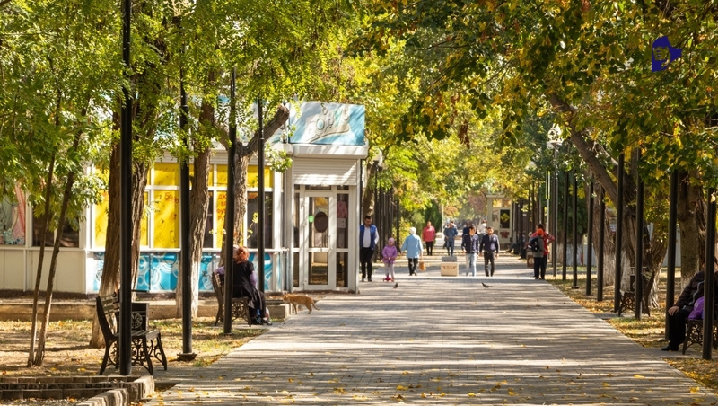      Фото: ИА «Победа26»