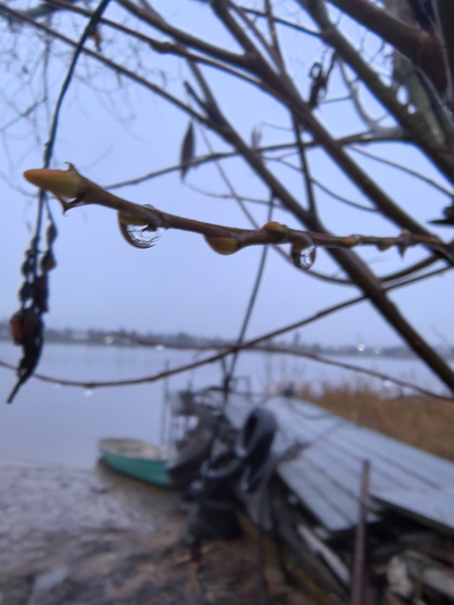 И снова сырое утро...