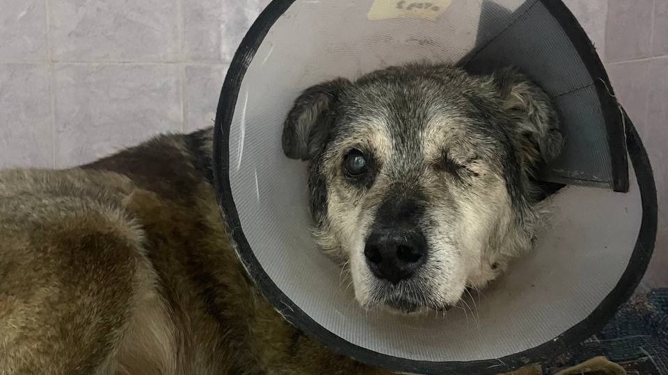 Деньги, деньги, деньги....