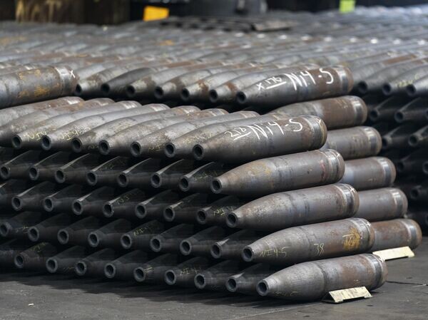    © AP Photo / Matt Rourke