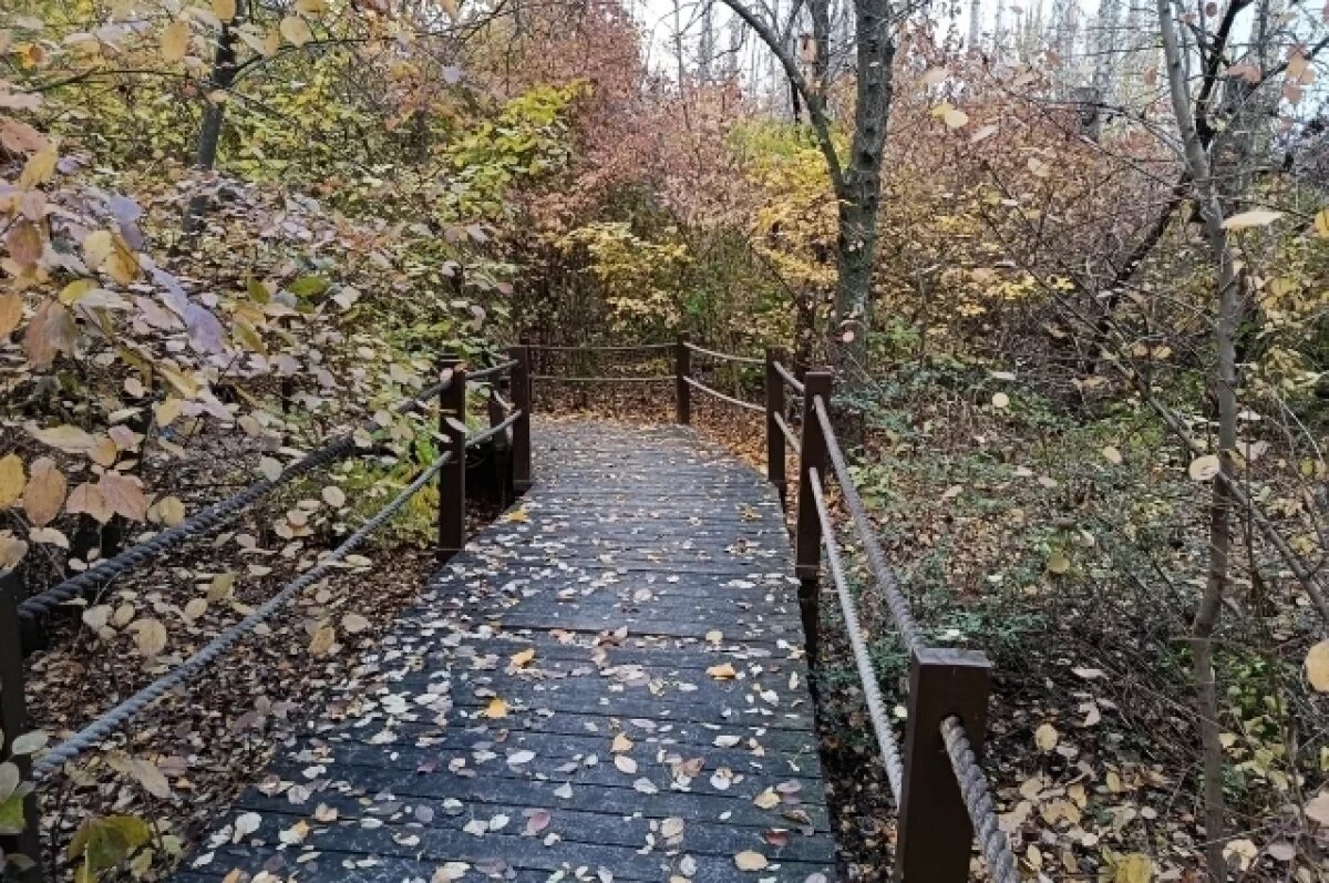    Осенними видами поделились в волгоградском дендрарии