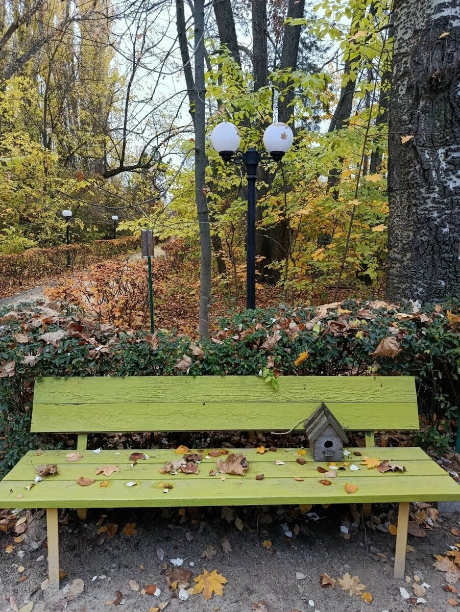    Фото: соцсети./ дендрарий Краснооктябрьского района в ВК