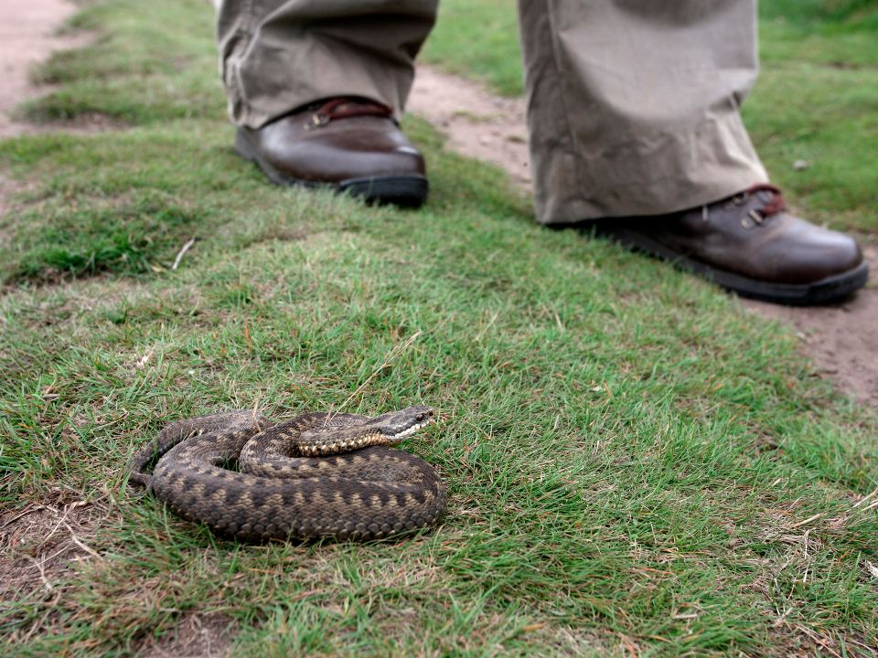 Фото: istockphoto.com/MikeLane45