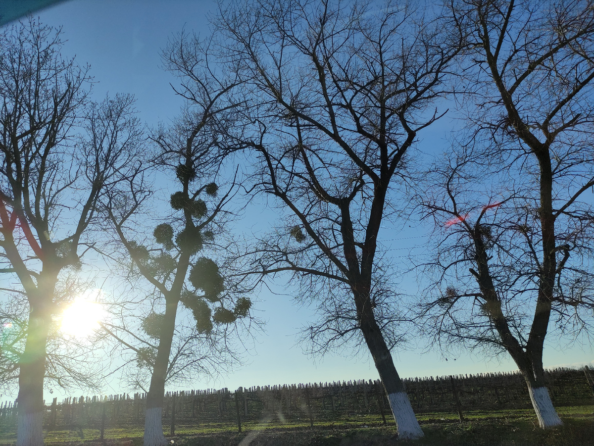 Все фото просто для иллюстрации 