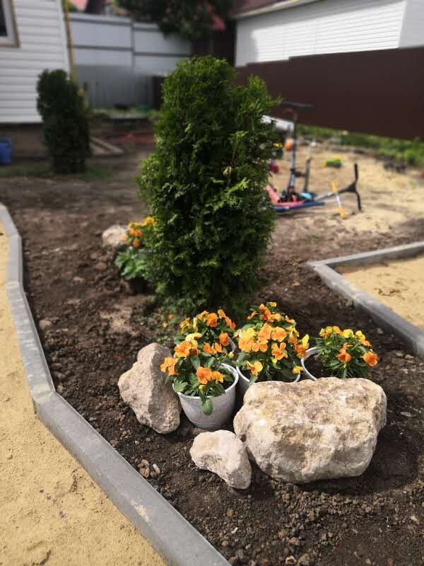 Формирую миксбордер, в горшках анютины глазки. Приехали из садового центра