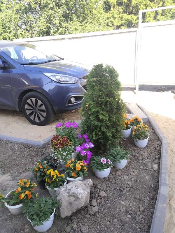 Жду когда приедут многолетники