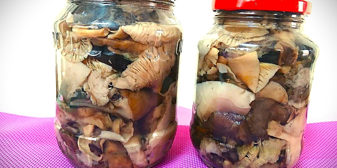 Ароматное лесное ассорти: грибное наслаждение