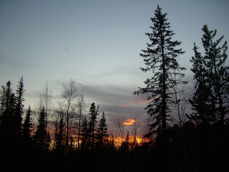 Фотографии Татьяны Немшановой. Осень таёжная таёжная. Закат в тайге Крайнего Севера Западной Сибири ХМАО Югра, лес северный таёжный. 