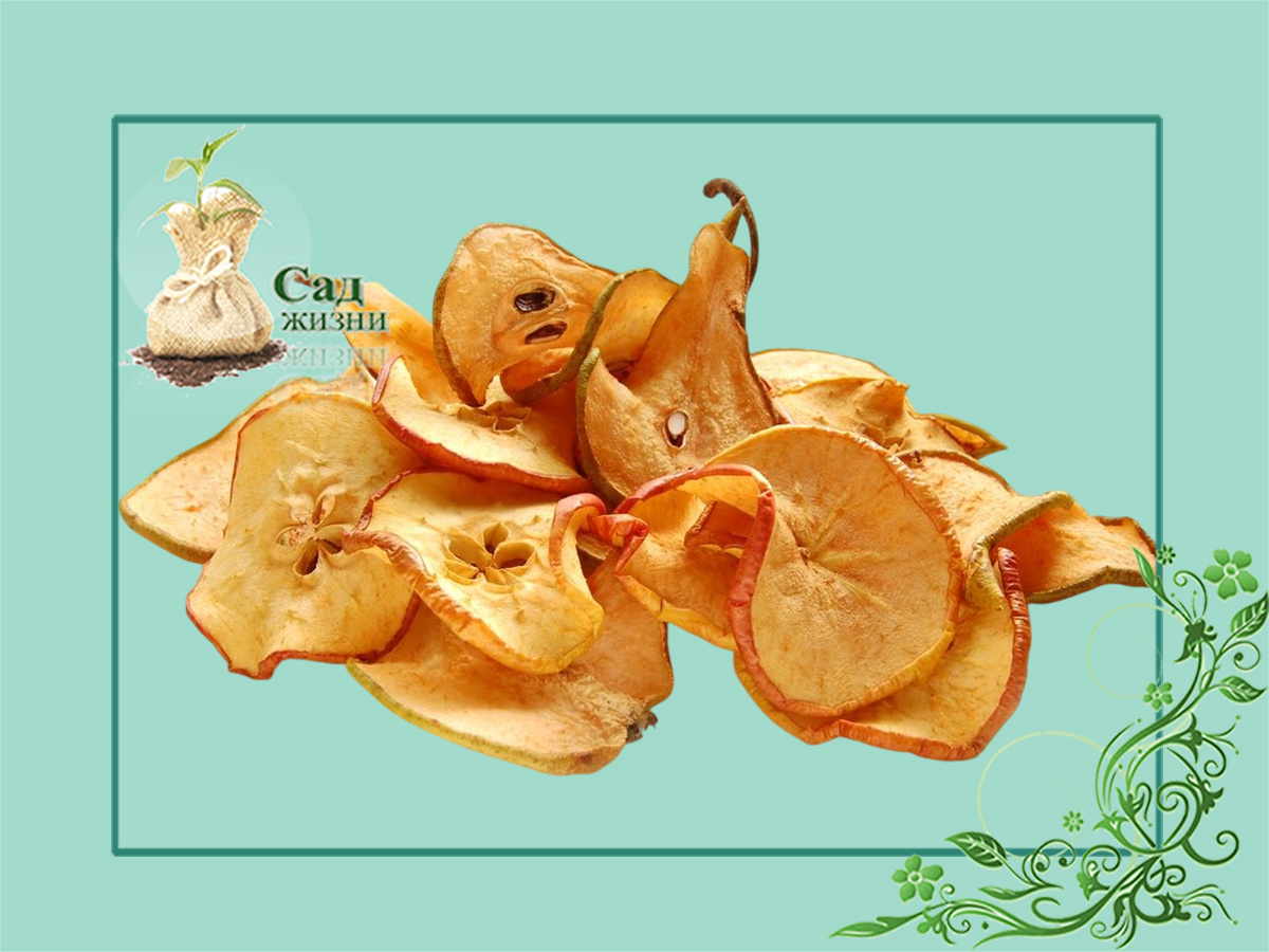 Сушка трав, фруктов, ягод и овощей