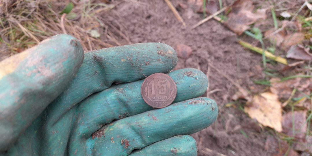 Лесной коп на локации кордон Корак (Марий Эл)