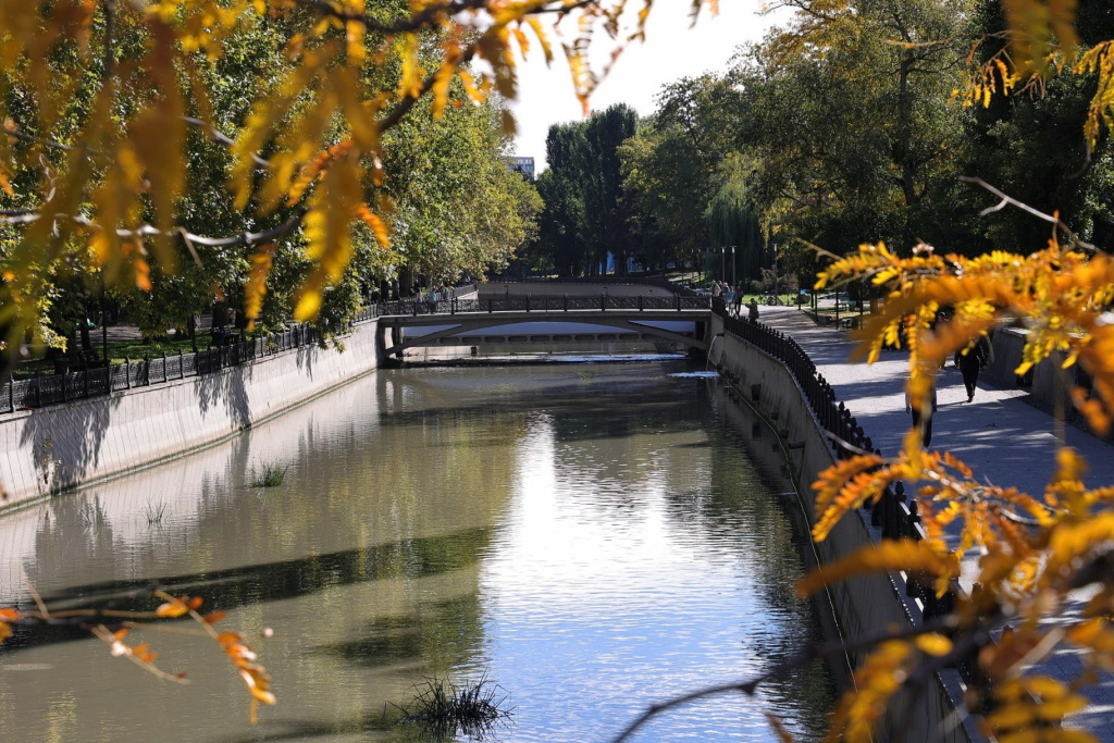 Фото: Михаил Гладчук