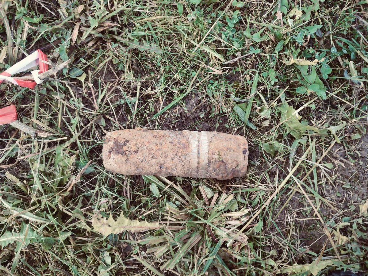 Фото: ГКУ МО "Мособлпожспас"