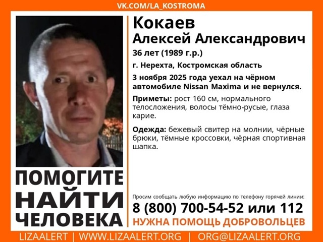 В Нерехте ищут 36-летнего Алексея Кокаева — мужчина исчез после поездки на машине