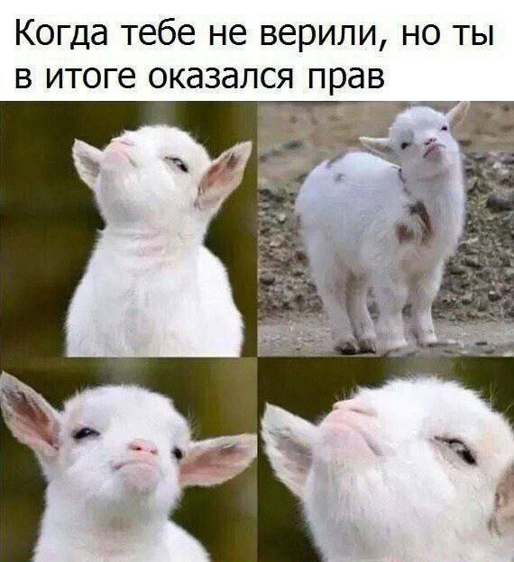 Воскресный дайджест -11