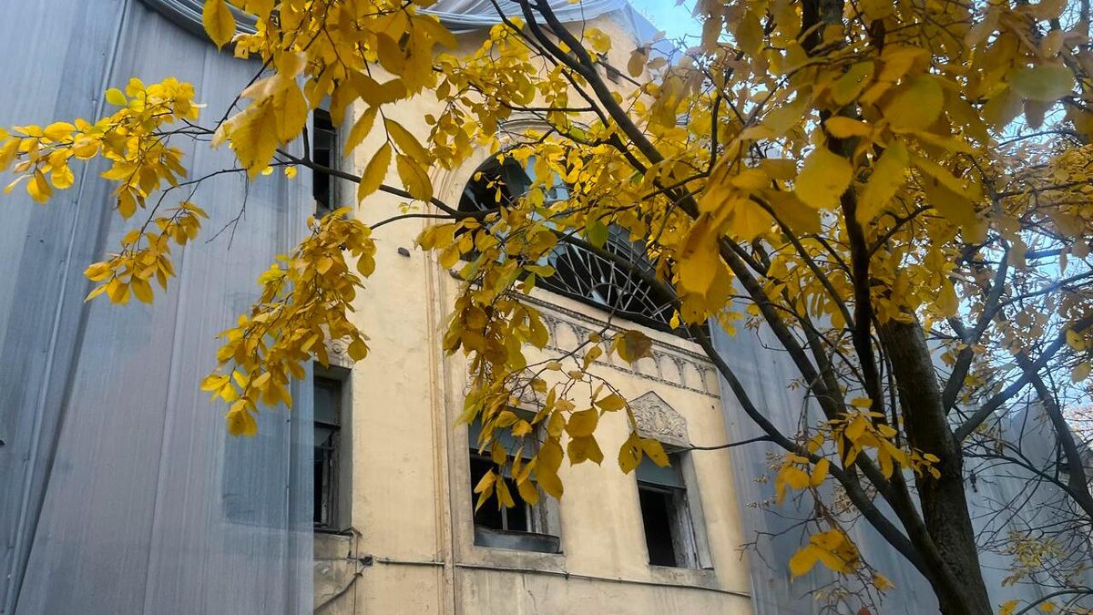    Фото: пресс-служба администрации Санкт-Петербурга