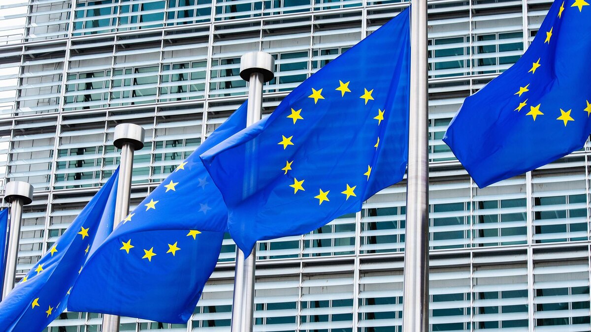 Фото: Alicia Windzio/globallookpress.com