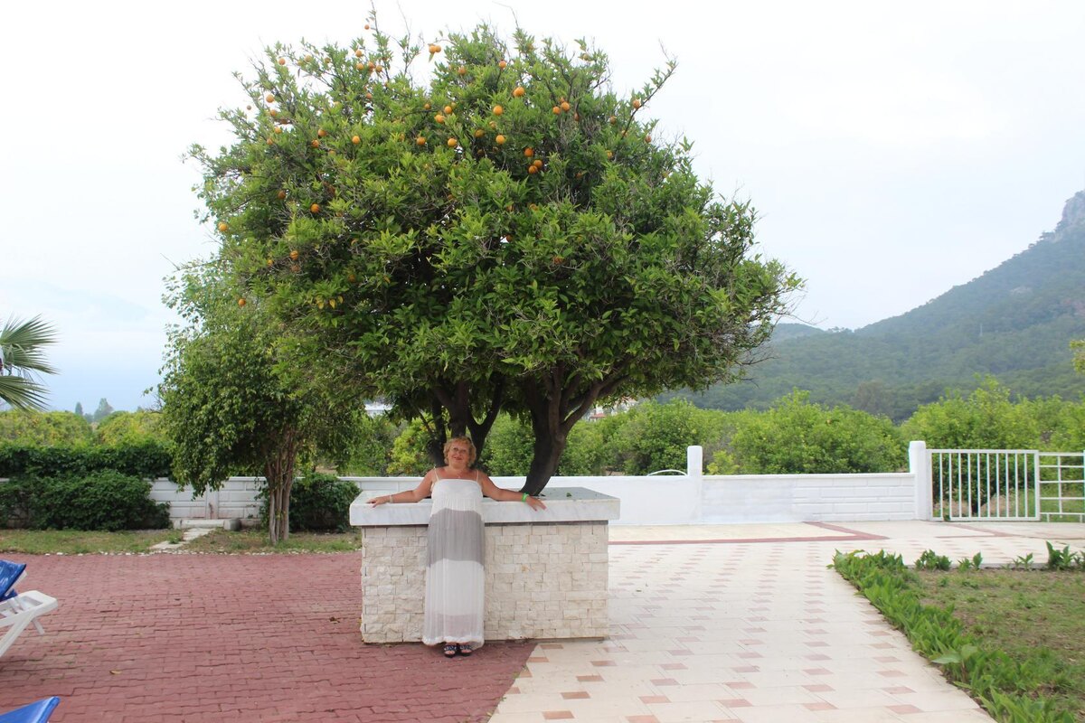 Фото автора, Турция