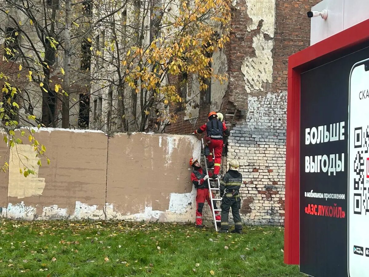    Фото: Мойка78