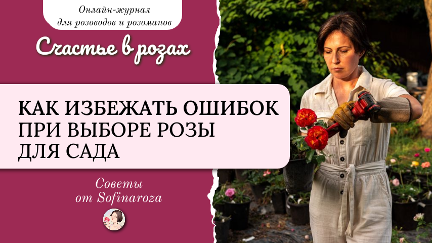 «Счастье в розах», выпуск №46, 7 ноября 2025г.