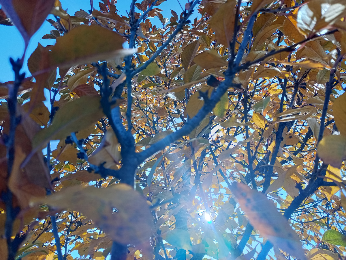 Фото автора.