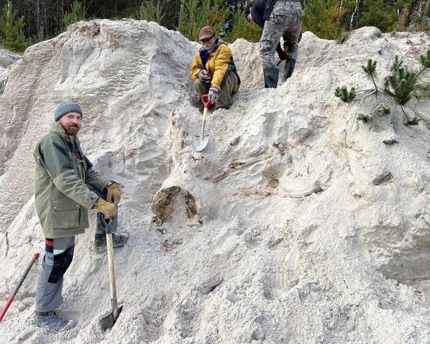 Источник: Григорьев Д. В. Фонтанка. ру